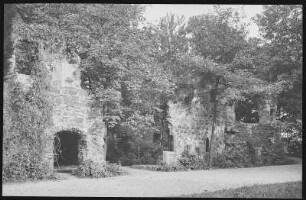 Grimma. Nimbschen Klosterruine