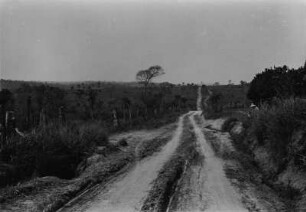 Straße in einer Landschaft : Eine unbefestigte Straße verläuft durch eine Graslandschaft. Rechts und links der Straße einzelne Bäume und Strächer. Links und rechts Zäune am Straßenrand.