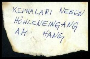 Fundzettel Kephalari