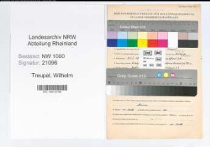 Entnazifizierung Wilhelm Treupel, geb. 25.01.1891 (Ingenieur)