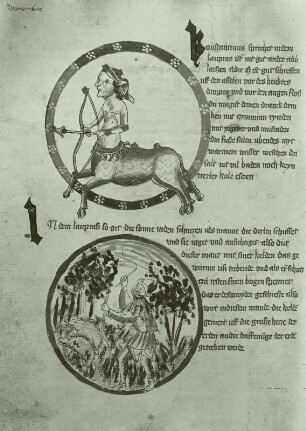 Illumination eines Lehrbuchs der Astronomie: :Schriftspiegel und Medaillons mit Tierkreiszeichen Schütze und Monatsbild November mit Schweinen bei der Eichelmast