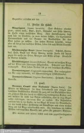 11. Weiher für Gänse