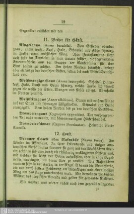 11. Weiher für Gänse