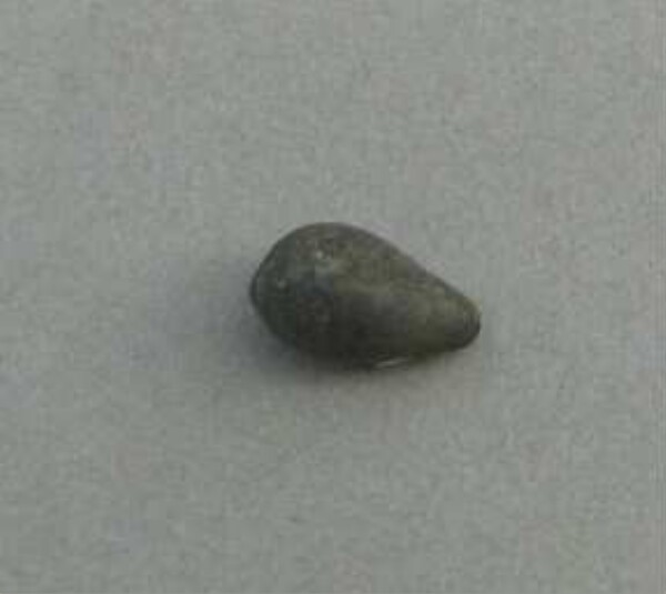 Stone bead