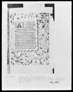 Stundenbuch, ad usum Romanum — ---, Folio 14rectoBuchseite