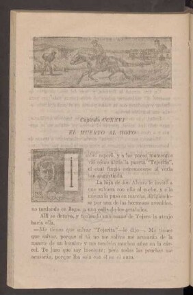 Capítulo CCXXVI - El muerto al hoyo