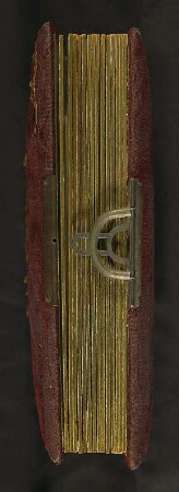 Familienalbum : Familienalbum. Samteinband mit Messingmontierungen, Metallschließe und Goldschnitt; 28 x 22 x 6 cm (um 1900). Dresden: SLUB/DF 2017.C.95
