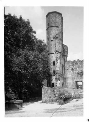 Dilsberg Burgruine- Oberburg Ansicht von Südosten