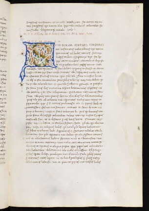 Lib. VII