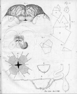 Tafel VI zu Isis Heft VIII. 1826