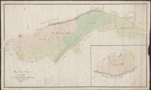 Oberforstamt Odenheim. Zeiterner Forst. Ein Theil der Zeiterner Gemeinds Waldungen. IV Plan Lit. C