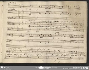Cavatina: "Mon cher cœur pour vous je meurs"