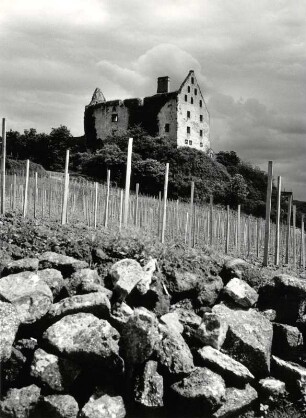 Das Schwendische Schloß in Burgheim im Kaiserstuhl