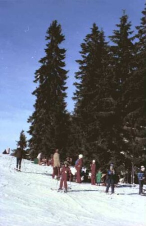 Schauinsland: Skirast am Waldrand