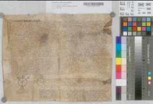 Notariatsinstrument betreffend die Schenkung und Abtretung der Güter des Craft von Pedelen, Priester und Benefiziat bei der Kirche von St. Johann und Dionys, an seinen natürlichen Sohn Craft von Pedelen und die Bestimmungen wegen Errrichtung eines Benefiziums.