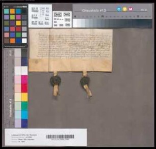 Konsens Gosens Stecke bezüglich der Belehnung des Diederich Stecke mit dem Gut Münsterhausen.