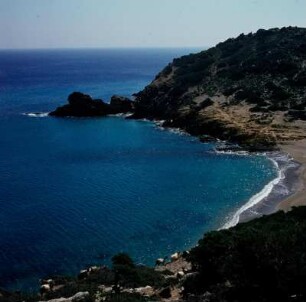 Ziegenherde, Bucht von Vai : Vai auf Kreta. Ziegenherde in der Bucht von Vai