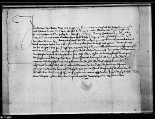 Eberhard von Talheim, Vogt zu Lauffen und Rat Graf Eberhards d. J., verspricht, diesem Vertrag nachzukommen, als ob er ihn auch besiegelt hätte.