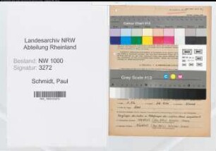 Entnazifizierung Paul Schmidt, geb. 28.04.1901 (Missionar)