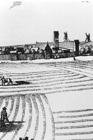 Grimmen. Stadtansicht mit Bockmühlen, um 1652, Ausschnitt