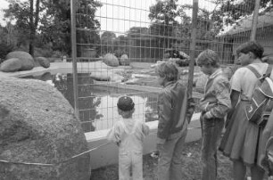 Baufertigstellung des neuen Freigeheges für die Löwen im Karlsruher Zoo