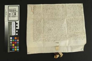 Heidesheim: Kaufbrief Heidesheim für Heinrich v. Stockheim