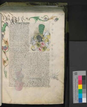 Herzog Gerhard von Jülich