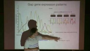 Information processing in biological networks