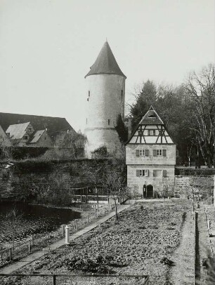 Dinkelsbühl, Blick über einen Garten auf Faulturm und Stadtmauer