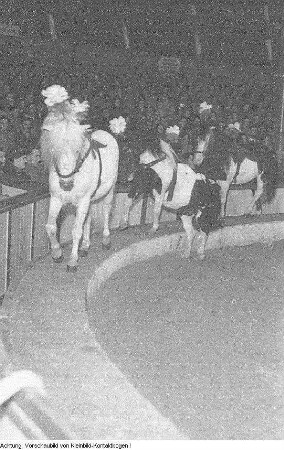 Dresden, Gastspiel des Zirkus Barley, 1957