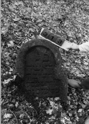 Grabstein 313