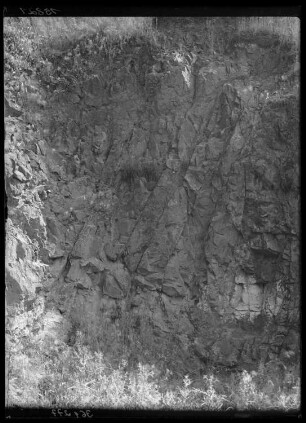 Vogelsberg bei Kamenz. Kontaktmetamorphe Grauwacke, Algonikum
