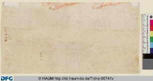 Vier Hufe eines Pferdes
