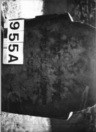 Grabstein 956 (Index: 99630448) Maße HxBxT: 70x47x5 cm Beschreibung: Stele, eingezogener Rundbogenabschluß: Grabstein 956