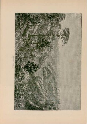 Monkey peak