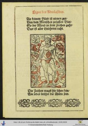 Figur des Aderlassens.