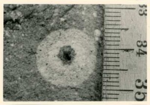 Bohrkern der Tiefenbohrung Freital (F 8 E), Teufe (Tiefe im Bergwerk) 187,20 m. Gebänderte Feinklastite, Bleichhof in Siltstein. Nördlich von Bannewitz, alte Kiesgrube
