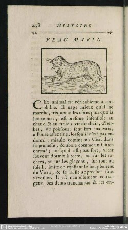 Veau Marin