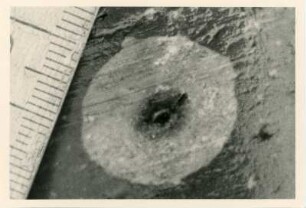 Bohrkern der Tiefenbohrung Freital (F 8 E), Teufe (Tiefe im Bergwerk) 251,40 m. Unteres Vulkanitfanglomerat, Bleichhof in sandigem Pelit. Nördlich von Bannewitz, alte Kiesgrube