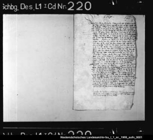 Zollfreiheit Lemgoer Bürger in der Grafschaft Holstein-Schaumburg (Abschriften)
