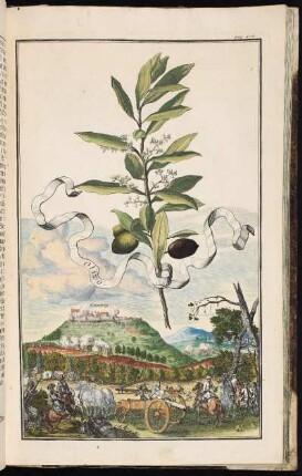 p. 236 Rotenberg. - Veste Rothenberg, Schnaittach