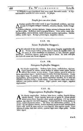 Cap. VII. Sayacu Brasiliensibus Marggravii