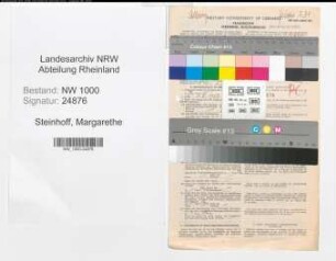 Entnazifizierung Margarethe Steinhoff, geb. 15.02.1899 (Versich.Angest.)