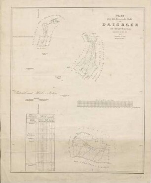 Plan über den Gemeindewald von Daisbach auf dortiger Gemarkung
