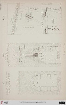 Tavola XV
