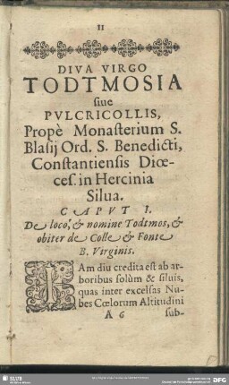 Diva Virgo Todtmosia sive Pulcricollis, Prope Monasterium S. Blasii Ord. S. Benedicti, Constantiensis Dioeces. in Hercinia Silva