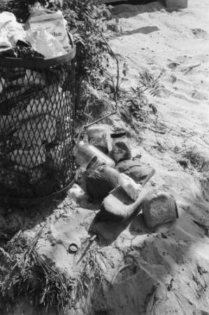 Ostseeküste. Müllkorb und weggeworfene Lebensmittel am Strand