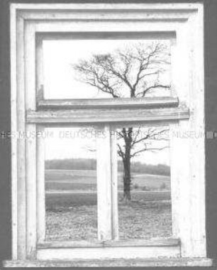 Collage: Fenster, im Hintergrund ein Baum (Altersgruppe 18-21)