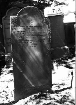 Grabstein 172 (Index: 100094324) Material: Sandstein Zustand: unten abgeblättert Maße HxBxT: 140x59x7 cm Beschreibung: Stele, eingezogener Rundbogenabschluß: Grabstein 172