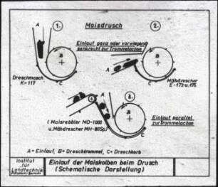 Einlauf der Maiskolben beim Drusch (Schematische Darstellung)